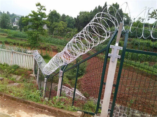 刺丝滚笼5.jpg