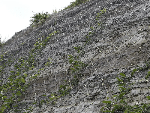 主动边坡防护网