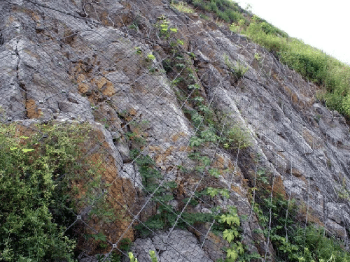 主动边坡防护网